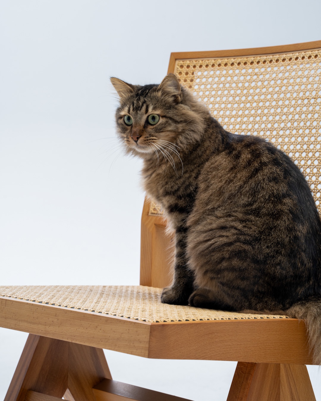 Wickerist Capitol Sandalye